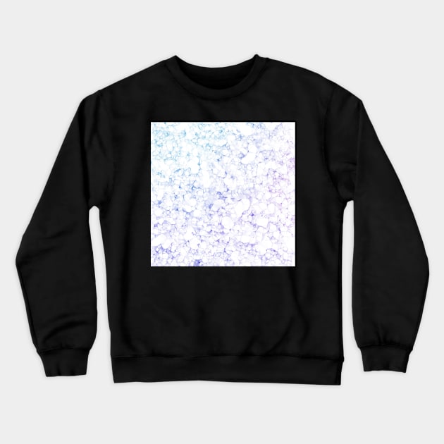 Antarctica Crewneck Sweatshirt by LaurenPatrick